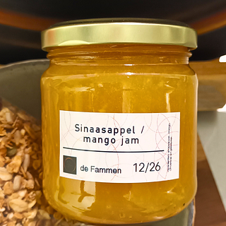 Sinaasappel-mangojam